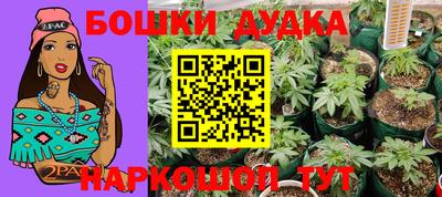 ПСИЛОЦИБИНОВЫЕ ГРИБЫ Шахты