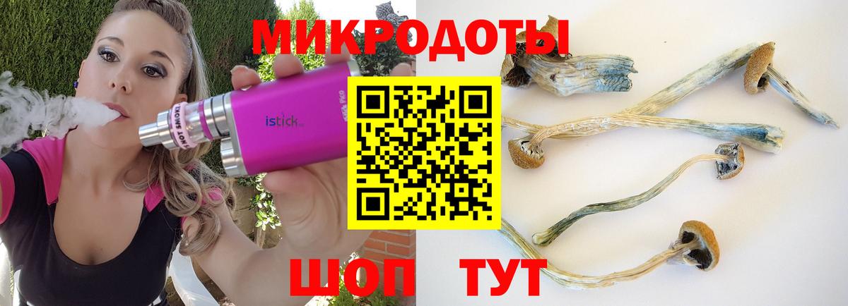 Галлюциногенные грибы прущие грибы Осинники
