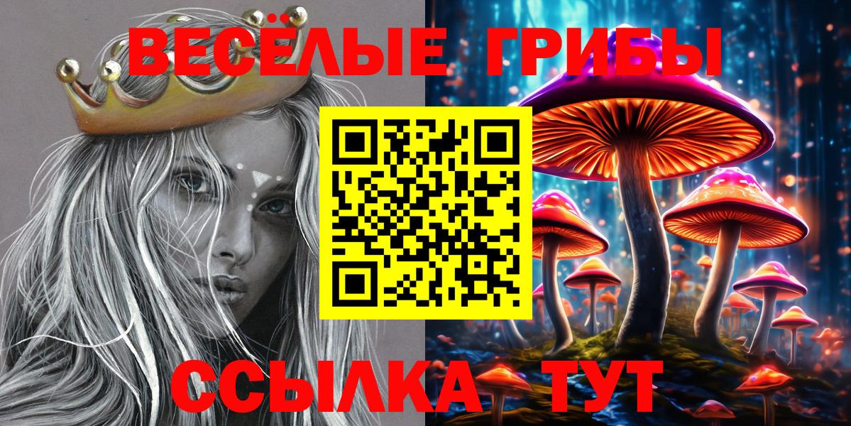 Осинники  Галлюциногенные грибы Cubensis  Галлюциногенные грибы Cubensis  Вход с VPN 