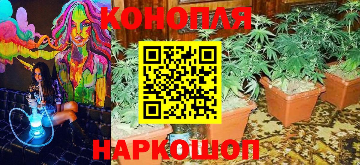 Осинники  Марихуана сатива  Бошки Шишки AK-47  Бошки Шишки THC 21%  Шишки марихуана тримм  Вход с VPN 